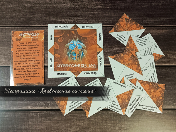 Тетрамино "Кровеносная система" — Интернет-магазин @himichka_jane